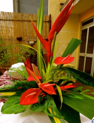 The red of tropical flowers.