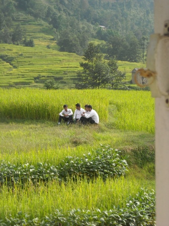Teachers meet in a rice field behind their school in the Kathmandu Valley